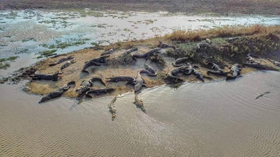 Crocodile Park Bungalow Kataragama Luaran gambar